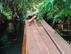 4 Toke Balak Membabat Hutan Di Sungai Sembilan Dan Berjalan Aman