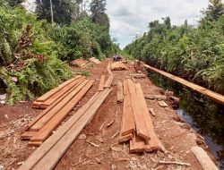 Perambahan Hutan Marak Di Cagar Biosfer Oknum Aparat Di Duga Terlibat