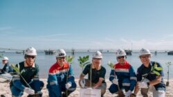 PHR Tanam 700 Mangrove Tangani Krisis Iklim