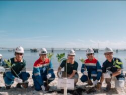 Perkokoh Benteng Pesisir Dumai, PHR Tanam 700 Mangrove Tangani Krisis Iklim