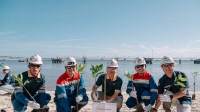 PHR Tanam 700 Mangrove Tangani Krisis Iklim