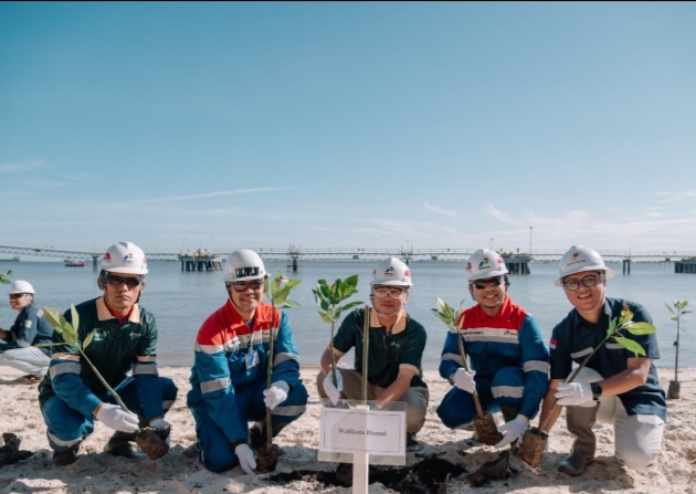 PHR Tanam 700 Mangrove Tangani Krisis Iklim